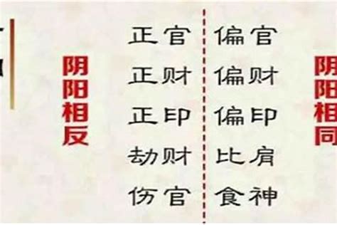 八字正財多|八字中「正財」在年柱、月柱中的特性，對一生運勢的影響